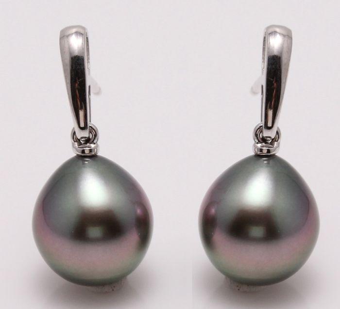 14 kt. White Gold - 10x11mm Peacock Tahitian Pearl: Title: 14 kt. White Gold - 10x11mm Peacock Tahitian Pearl Drops - Earrings Description: Emerging from the tropical lagoons of French Polynesia, these Tahitian pearls have been hand selected for their 