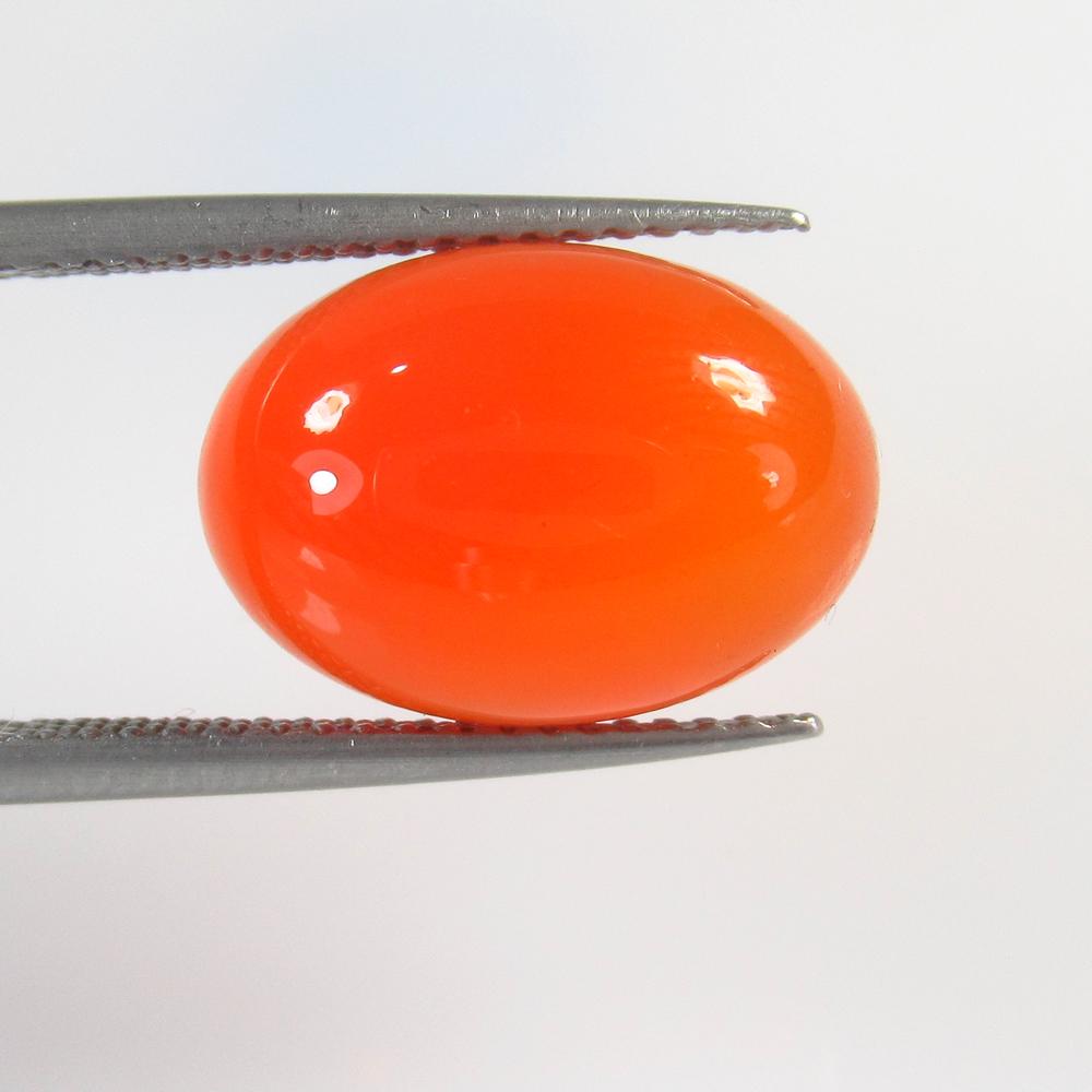 6.86 Ctw Natural Orange Carnelian Oval Cab: No Reserve! Title: 6.86 Ctw Natural Orange Carnelian Oval Cab Stone Clarity: Semi-Transparent Gemstones: Carnelian Size/Dimensions: 6.86 Carat Weights: 14.10 x 10.00 x 6.30 mm Additional Information: 