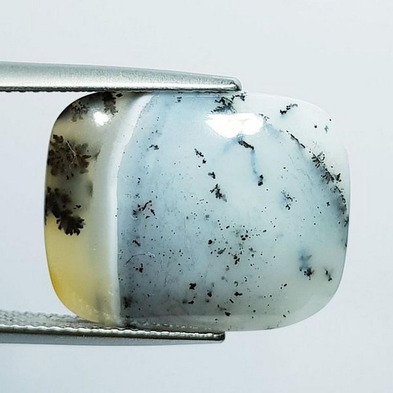 Natural Dendrite Opal Octagon Cabochon 10.60 Ct (1 of 5)