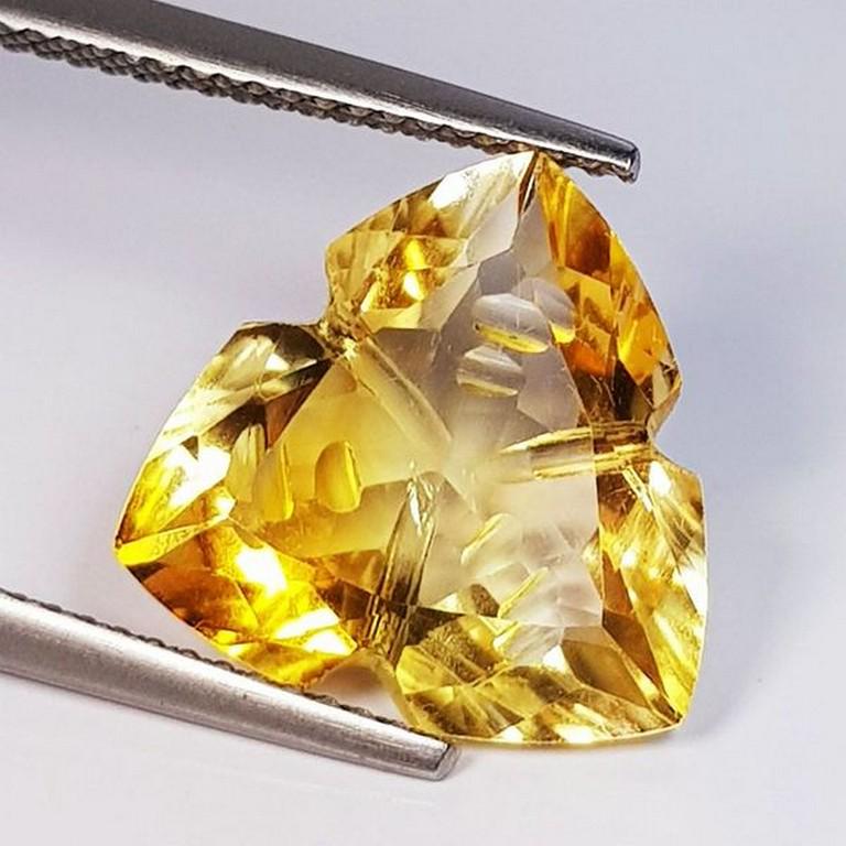 Fantastic Gem Trillion Flower Cut Natural Citrine 6.00: No Reserve! Title: Fantastic Gem Trillion Flower Cut Natural Citrine 6.00 Ct Color/Clarity: Transparent Gemstones: Loosegemstone Carat Weights: 6 Size/Dimensions: 13.60 x 13.60 x 6.60 Additional Infor