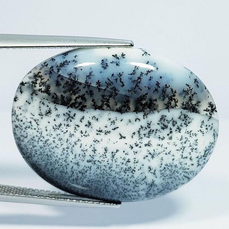 Natural Dendrite Opal Oval Cabochon 21.68 Ct (1 of 5)