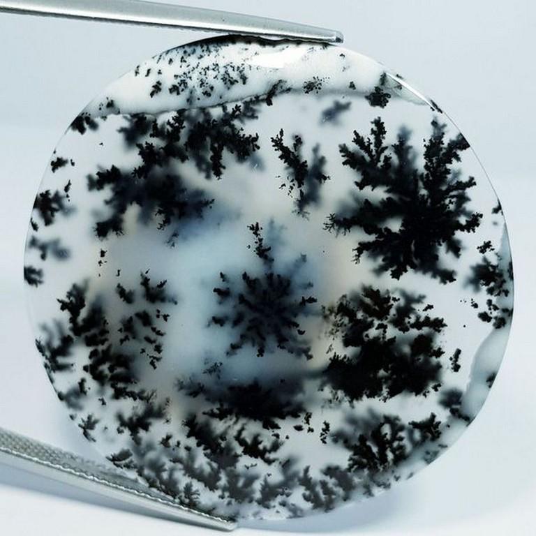 Natural Dendrite Opal Round Cabochon 35.50 Ct (1 of 4)
