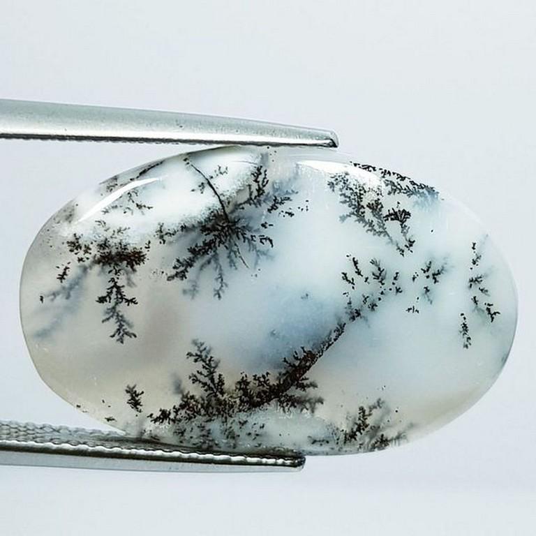 Natural Dendrite Opal Oval Cabochon 12.43 Ct (1 of 5)