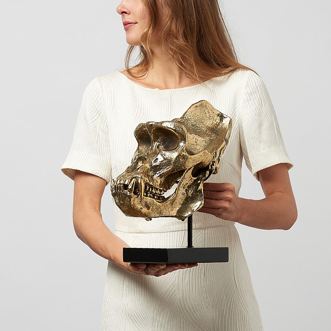 Male Western Lowland Gorilla Skull in Polished Bronze (1 of 10)