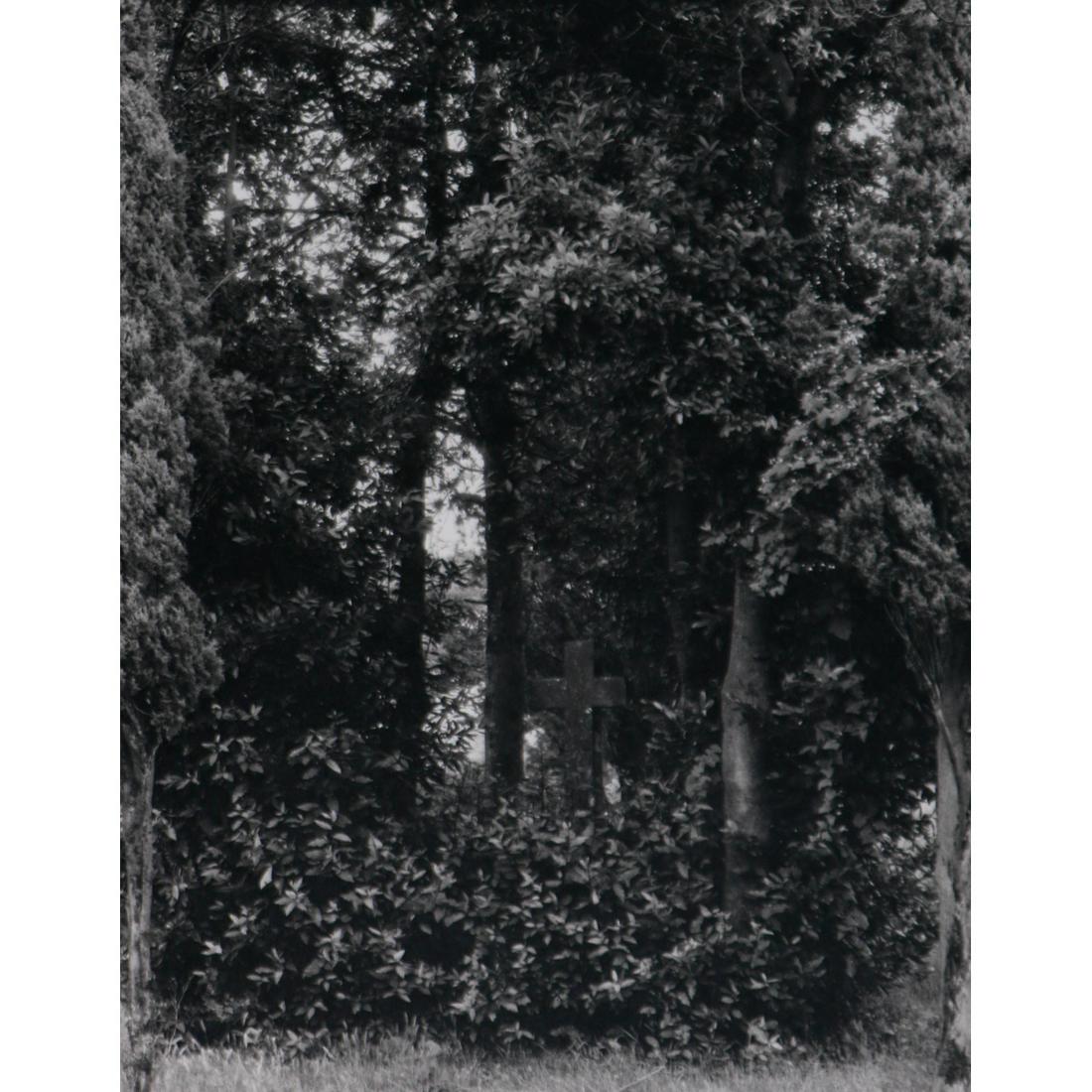 PAUL STRAND - Bois à la Croix, Saint-Mère: Artist: PAUL STRAND Print Title: Bois à la Croix, Saint-Mère Medium: Sheet-Fed Gravure Printing Date: 1950's Printed in Switzerland Image Size approx: 9.25 X 7.5 inches Paul Strand (1890–1976) was