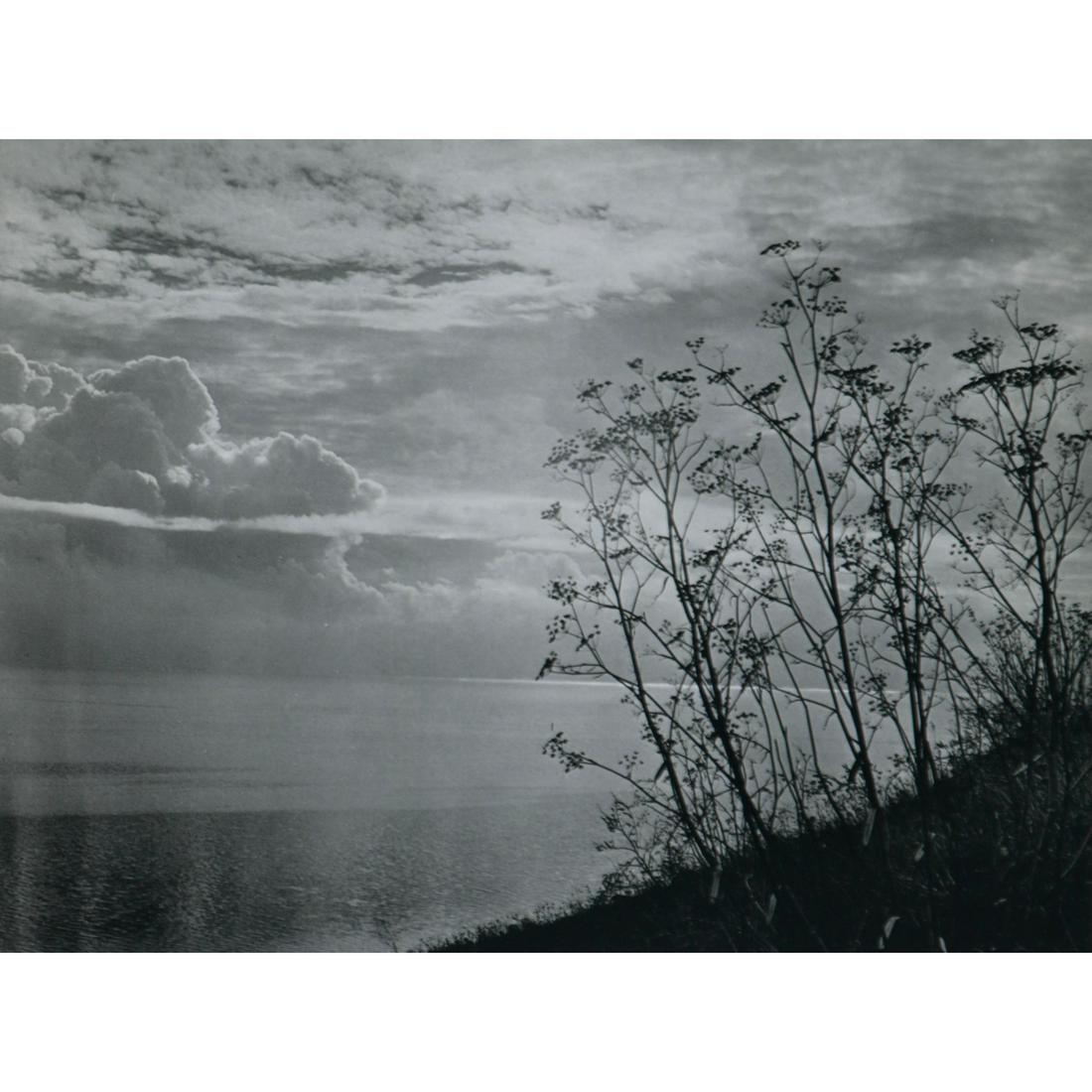 CEDRIC WRIGHT - Pacific, Autumn: Artist: CEDRIC WRIGHT Print Title: Pacific, Autumn Medium: Sheet-fed Gravure Printing Date: 1960's Printed in the USA Image Size approx: 7.5 x 10 inches George Cedric Wright (1889-1959) was an America
