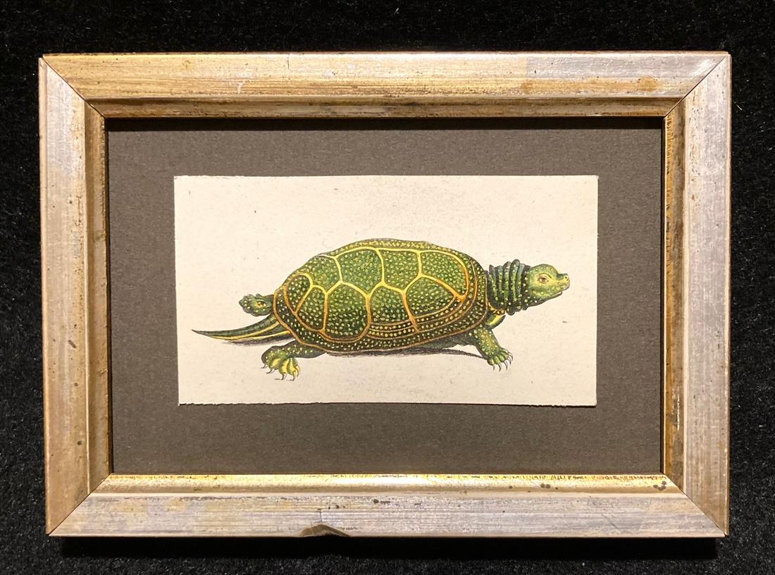 C1810 hand colored turtle engraving: Title: C1810 hand colored turtle engraving Dimension: Total framed size is 3 7/8” x 5 1/2” Provenance/Additional Info: In a 19thc worn gold leaf frame Shipping: Domestic: Flat-rate of $12.00