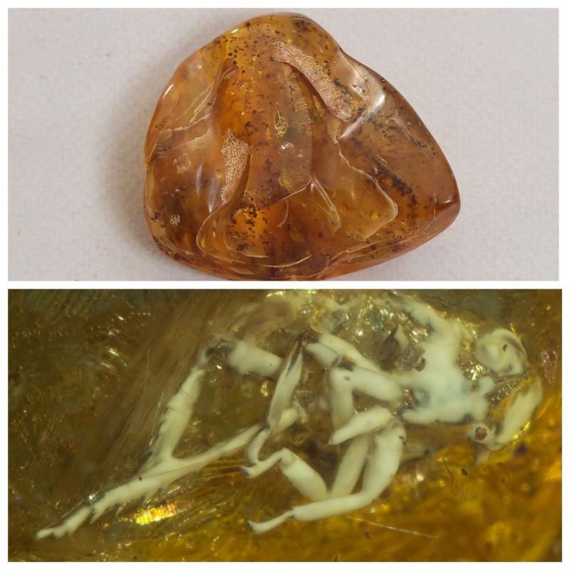 43g Baltic amber with inclusion fossil fly (Diptera): There are several inclusions in the stone, Weight: 43 gram (1.51 oz) Size: 27x56x63 mm Inclusion: fly (Diptera) Age: 45-50 million years old Stone: 100% natural Baltic amber Treatment: no Condition: a