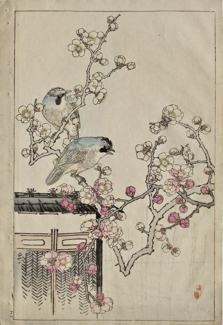 Bairei: Plum Blossoms and Jays: Artist: Kôno BAIREI (1844-1895) Subject: Plum blossoms and Jays Series: Bairei Kacho Gafu Publisher: Okura Shoten Seal: Bairei Date: 1899 Format: ôban, 24.8 x 36.5 cm Condition: Fine impression, col