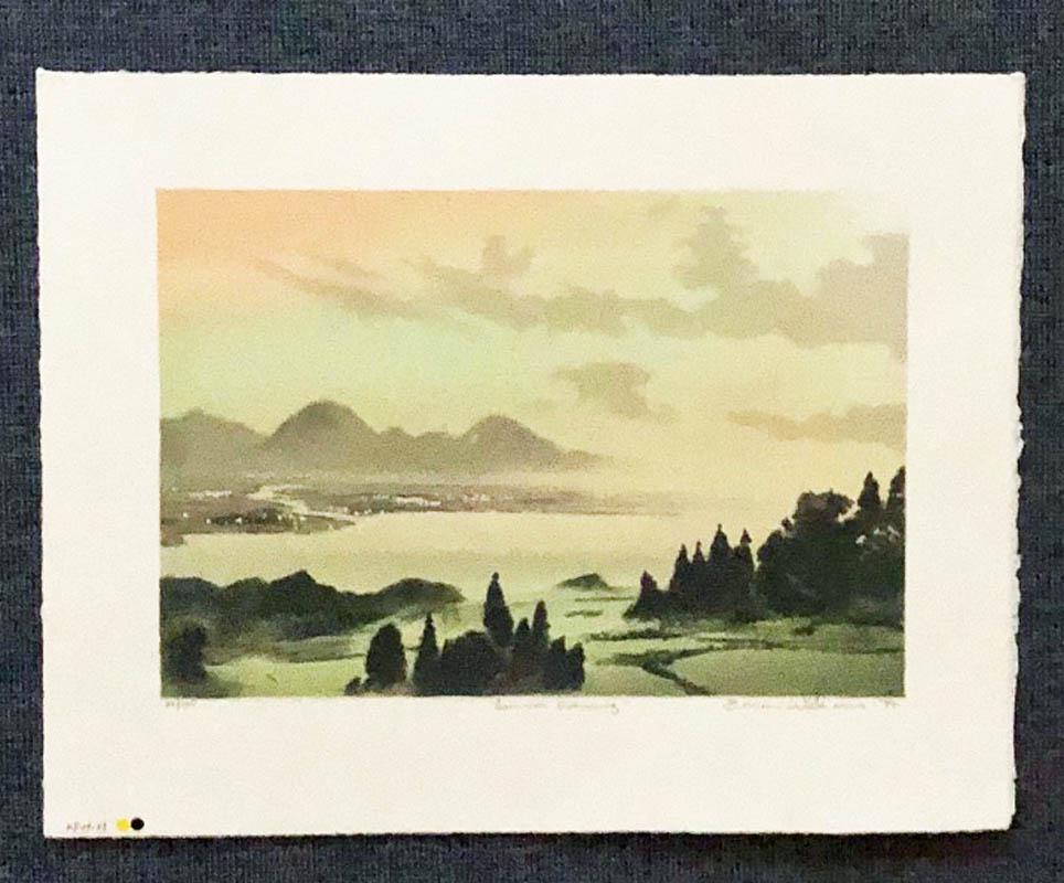 Summer Evening: Title: Summer Evening Artist: Brian Williams (B, - 1950) Size: Print image measures 7 1/2 X 11 inches plus full margins Date: 1985 Medium:Lithograph and aquatint print Edition: Limited edition #39/100