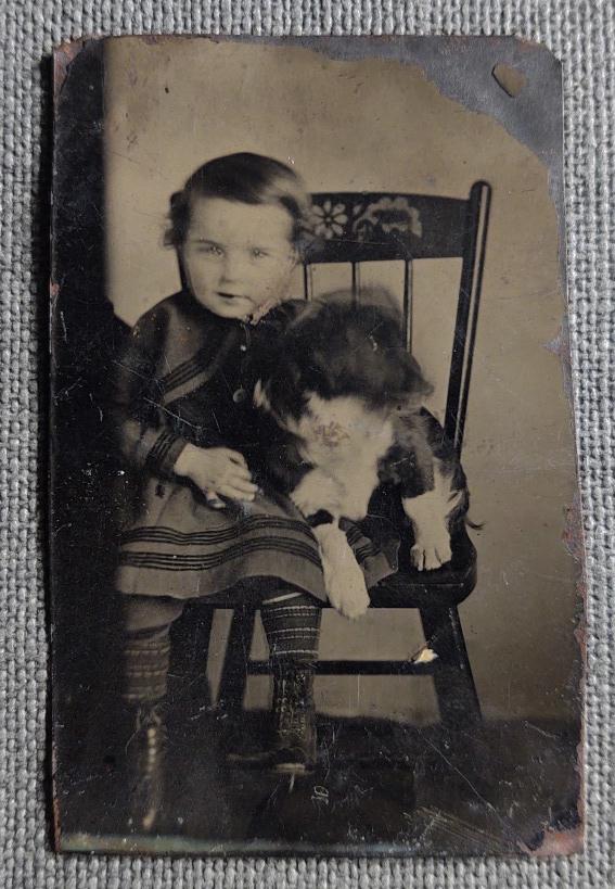 Unsual Tintype of a Young Child with Dog on Chair (1 of 1)