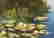 item-96805008=7