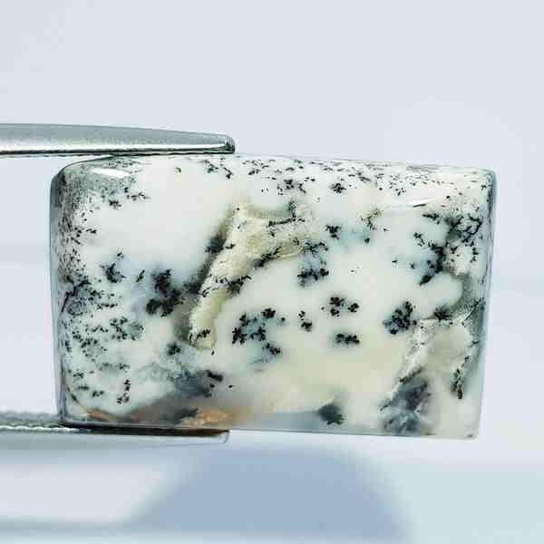 Natural Dendrite Opal Rectangle Cabochon 17.56 Ct (1 of 5)
