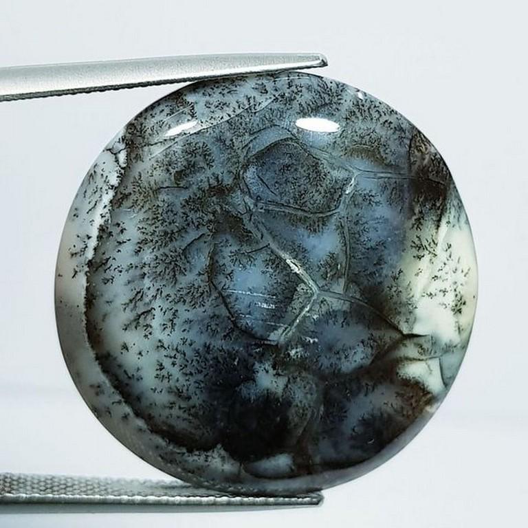 Natural Dendrite Opal Round Cabochon 30.95 Ct (1 of 5)