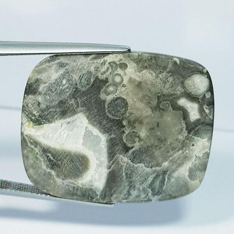 50.47 ct Natural Exotic jasper (1 of 5)