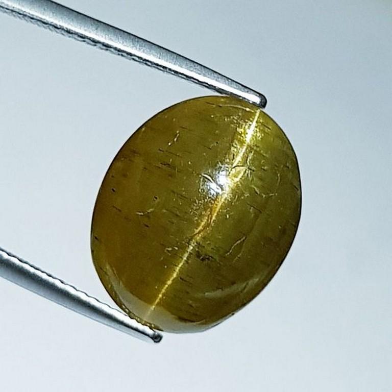 15.74 ct Natural Apatite cat's Eye: No Reserve! Title: 15.74 ct Natural Apatite cat's Eye Color/Clarity: Semi Transparent Gemstones: Loosegemstone Carat Weights: 15.74 Size/Dimensions: 15.75 x 12.75 x 8.70 Additional Information: Oval -