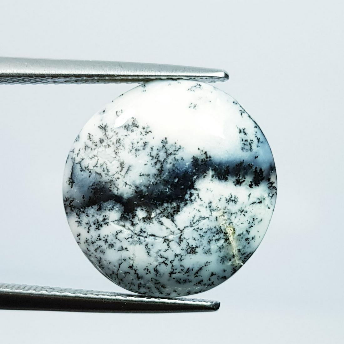 Natural Dendrite Opal Round Cabochon 9.78 Ct (1 of 5)