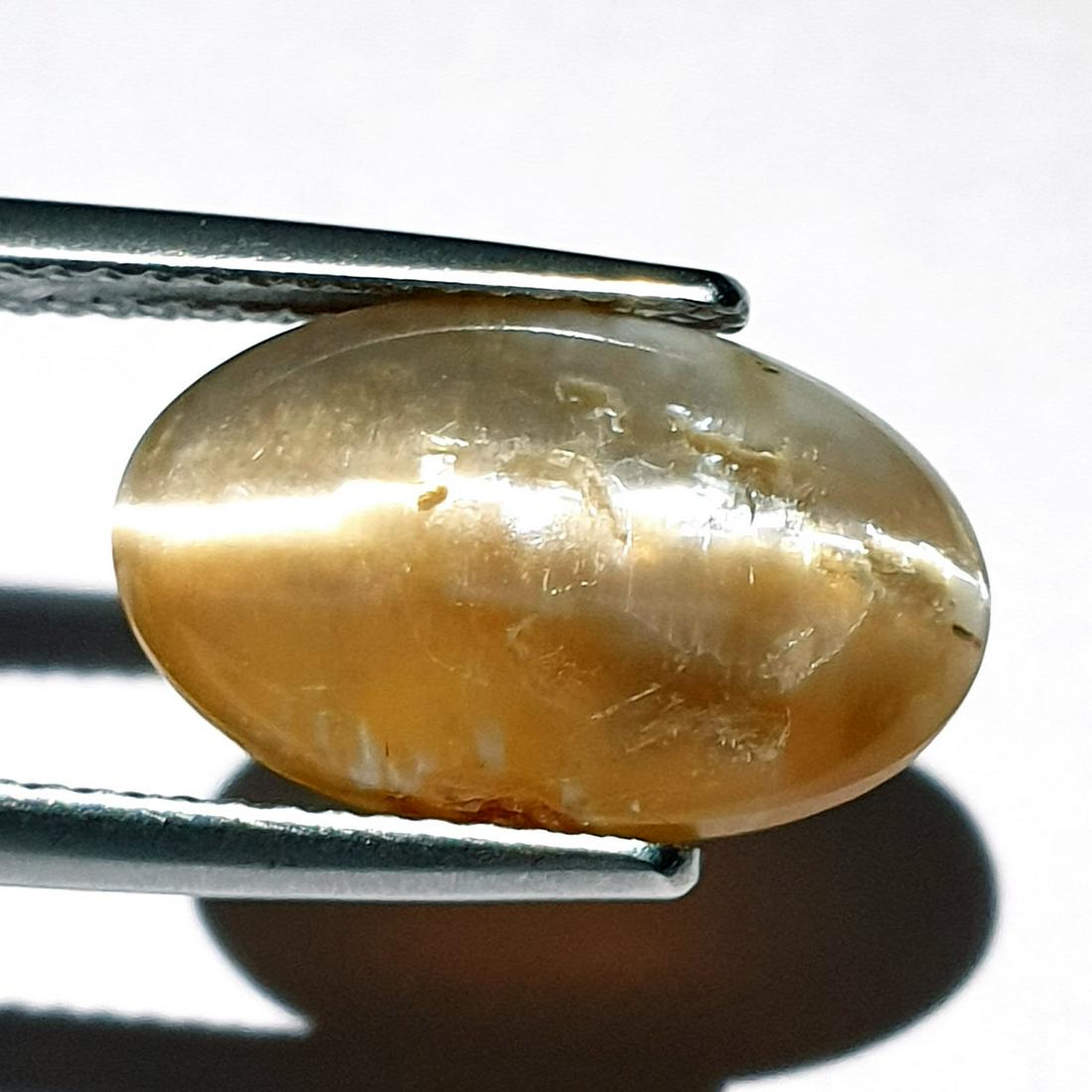 5.24 ct Natural Opal Cat's Eye: No Reserve! Title: 5.24 ct Natural Opal Cat's Eye Color/Clarity: Semi Transparent Gemstones: Loosegemstone Carat Weights: 5.24 Size/Dimensions: 14.90 x 9.40 x 6.50 Additional Information: Oval - Afric
