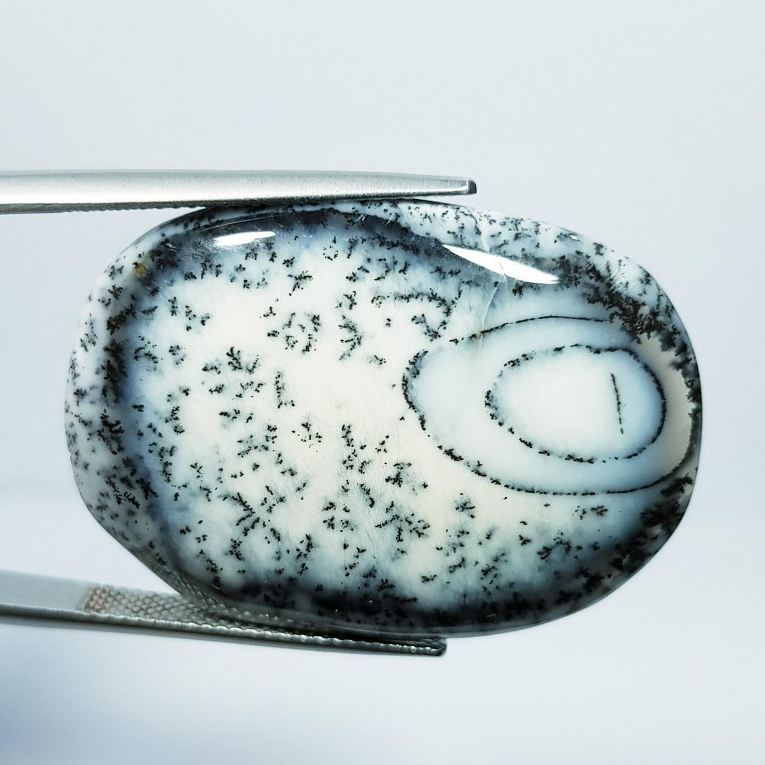 Natural Dendrite Opal Oval Cabochon 41.10 Ct (1 of 5)