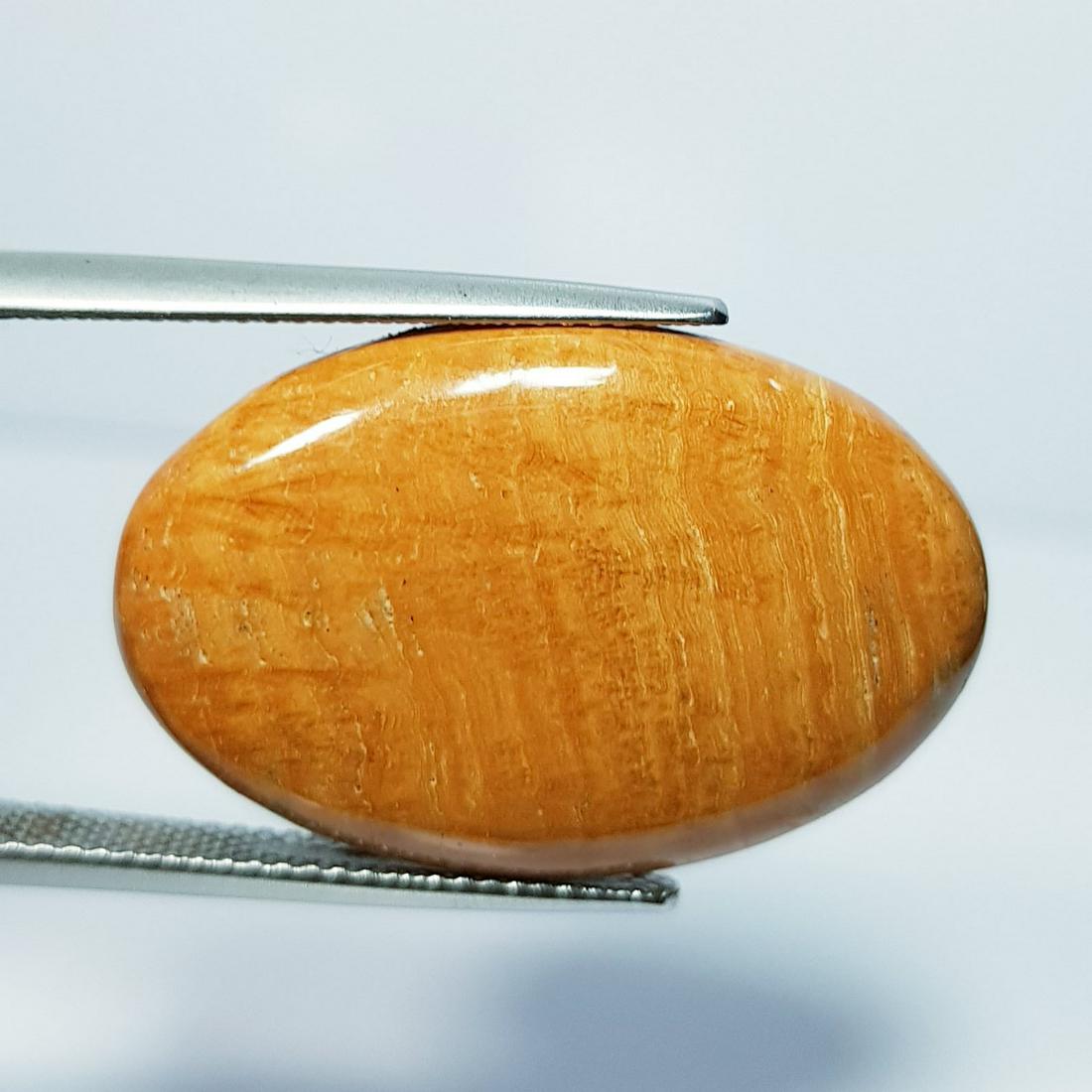 21.00 ct Natural chocolate jasper: No Reserve! Title: 21.00 ct Natural chocolate jasper Color/Clarity: Opaque Gemstones: Loosegemstone Carat Weights: 21 Size/Dimensions: 27.60 x 17.80 x 5.10 Additional Information: Oval - Brazil Shippi