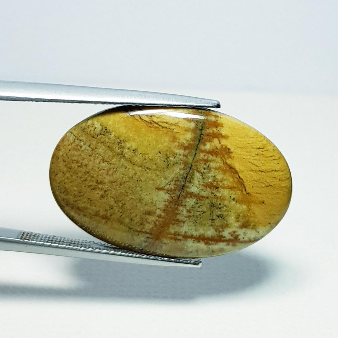 16.05 ct Natural Red Jasper (1 of 5)