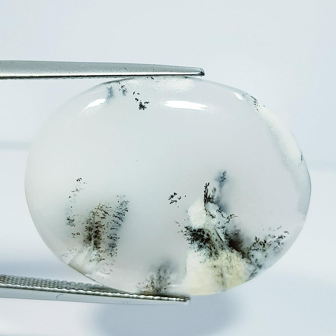 Natural Dendrite Opal Oval Cabochon 26.70 Ct (1 of 5)