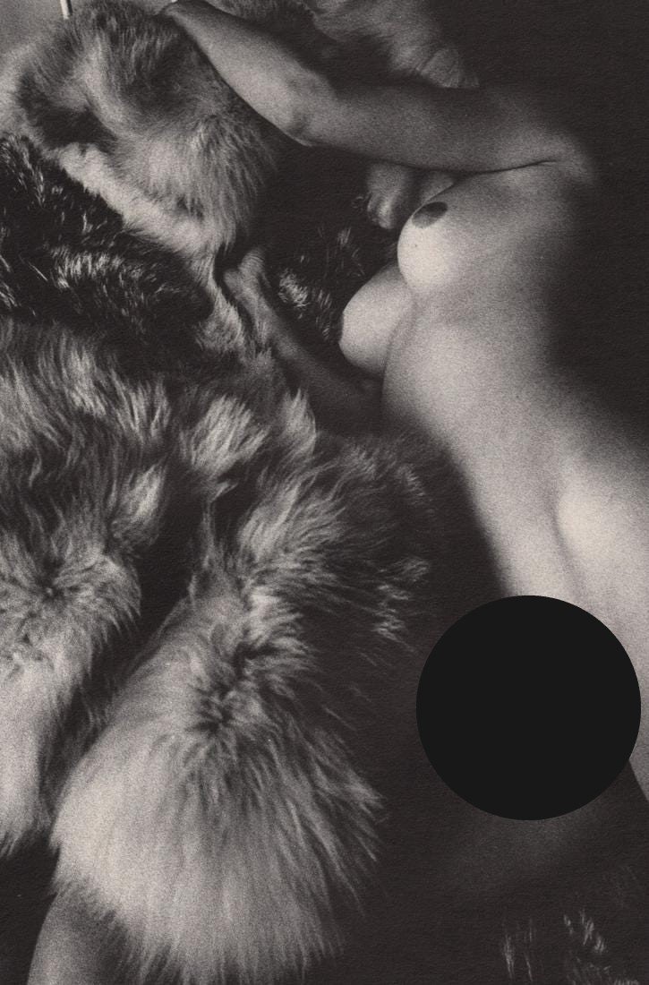 JEANLOUP SIEFF- Nude on fur: Artist: JEANLOUP SIEFF Print Title: Nude on fur Medium: Photo-lithograph Printed 1970’s in Italy Image size (inches) approx. 9 x 6” Jeanloup Sieff (1933-2000) was a French photographer born to Pol