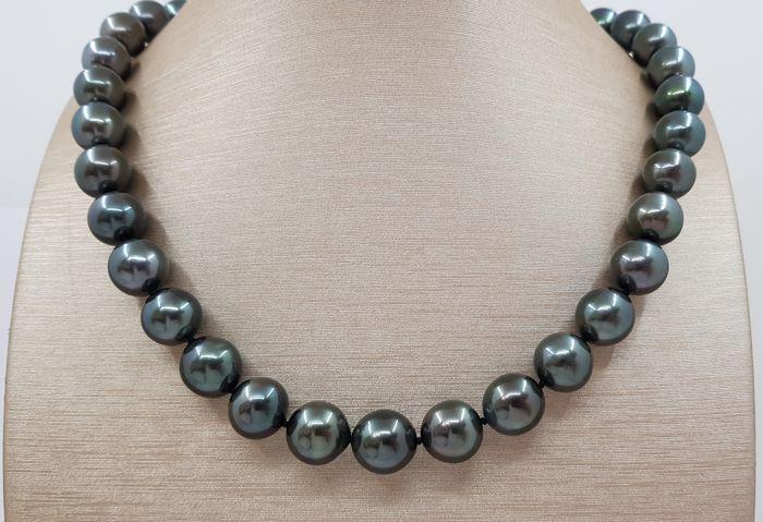 11x12mm Large Shimmering Tahitian Pearls Tahitian (1 of 9)