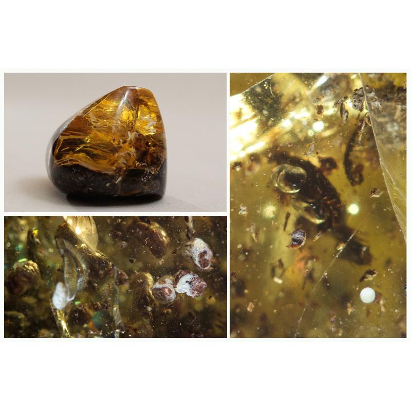 Natural Baltic amber stone fossil inclusion insect 38g: Weight: 38 gram (1.34 oz) Size: 37x42x45 mm Inclusion: unidentified insect Age: 45-50 million years old Stone: 100% natural Baltic amber Treatment: no Condition: as on the photo (good) Tested 100% nat