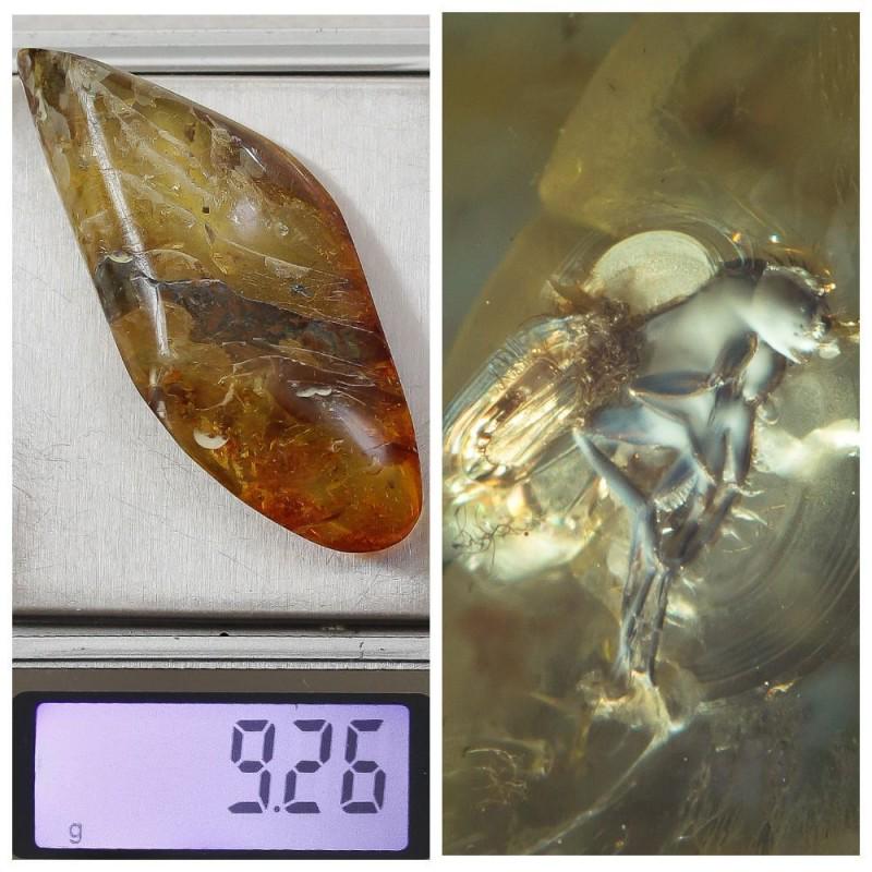 Insect Natural Baltic amber stone inclusion Fly: Faceted pendant shape unique amber piece with inclusion which is 45-50 million years old. Collectible piece! Weight: 9 gram (0.31 oz) Inclusion: Fly (Diptera) Size: 11x26x63 mm Age: 45-50 million year