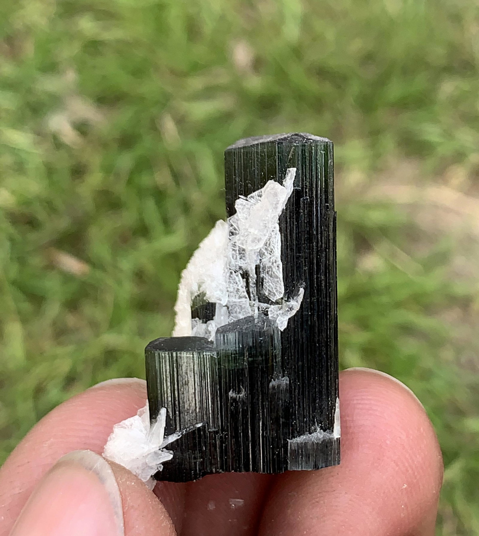 8 Gram Gorgeous Natural Green Cap Tourmaline With: Title: 8 Gram Gorgeous Natural Green Cap Tourmaline With Albite Specimen Treatment: Natural Weight: 8 Gram Size/Dimensions: 25x16x15 mm Origin: Pakistan Reserve: $20.00 Shipping: Domestic: Flat-rate