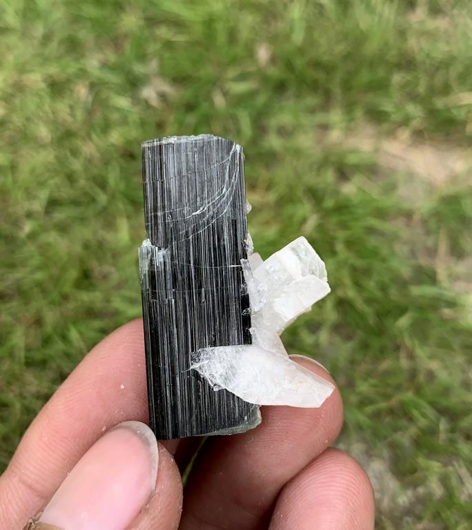 12 Gram Gorgeous Natural Tourmaline With Albite: Title: 12 Gram Gorgeous Natural Tourmaline With Albite Specimen Treatment: Natural Weight: 12 Gram Size/Dimensions: 35x20x20 mm Origin: Pakistan Reserve: $15.00 Shipping: Domestic: Flat-rate of $15.0