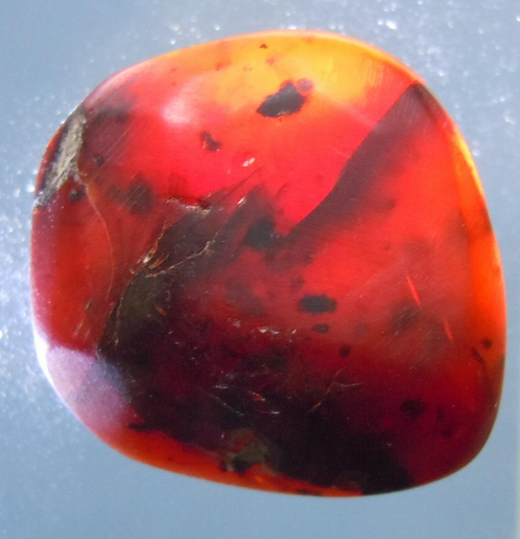 100 MILL YEARS OLD BURMITE AMBER - RARE RED: Title: 100 MILL YEARS OLD BURMITE AMBER - RARE RED Origin: Hukawang Valley, Kachin State, Myanmar Size: 2x2x0.8 cm / 2.16 gram Additional Information: rare red burmite amber with inclusions Reserve: $