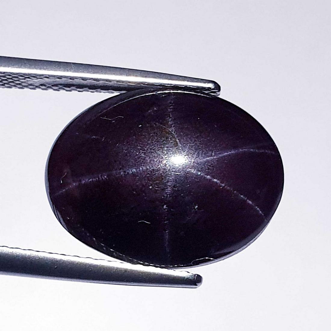 20.26 ct Natural Six Ray Star Garnet (1 of 3)