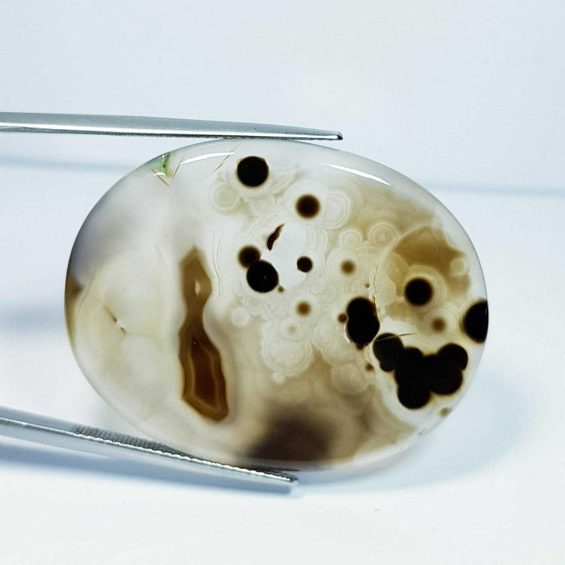 61.03 ct Natural Black Lace Agate Oval Cabochon (1 of 5)