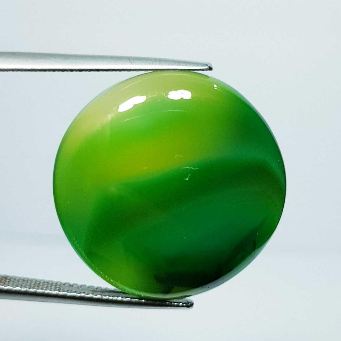 27.72 ct Natural Green Agate Round Cabochon (1 of 5)