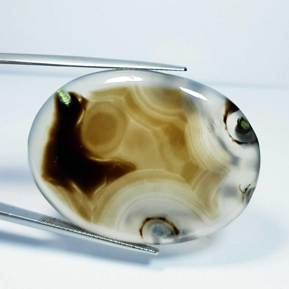 75.65 ct Natural Black Lace Agate Oval Cabochon (1 of 5)