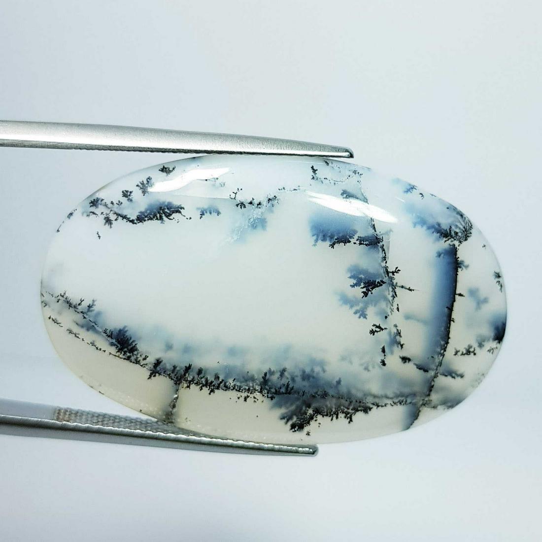 26.70 ct Natural Dendrite Opal Oval Cabochon (1 of 5)