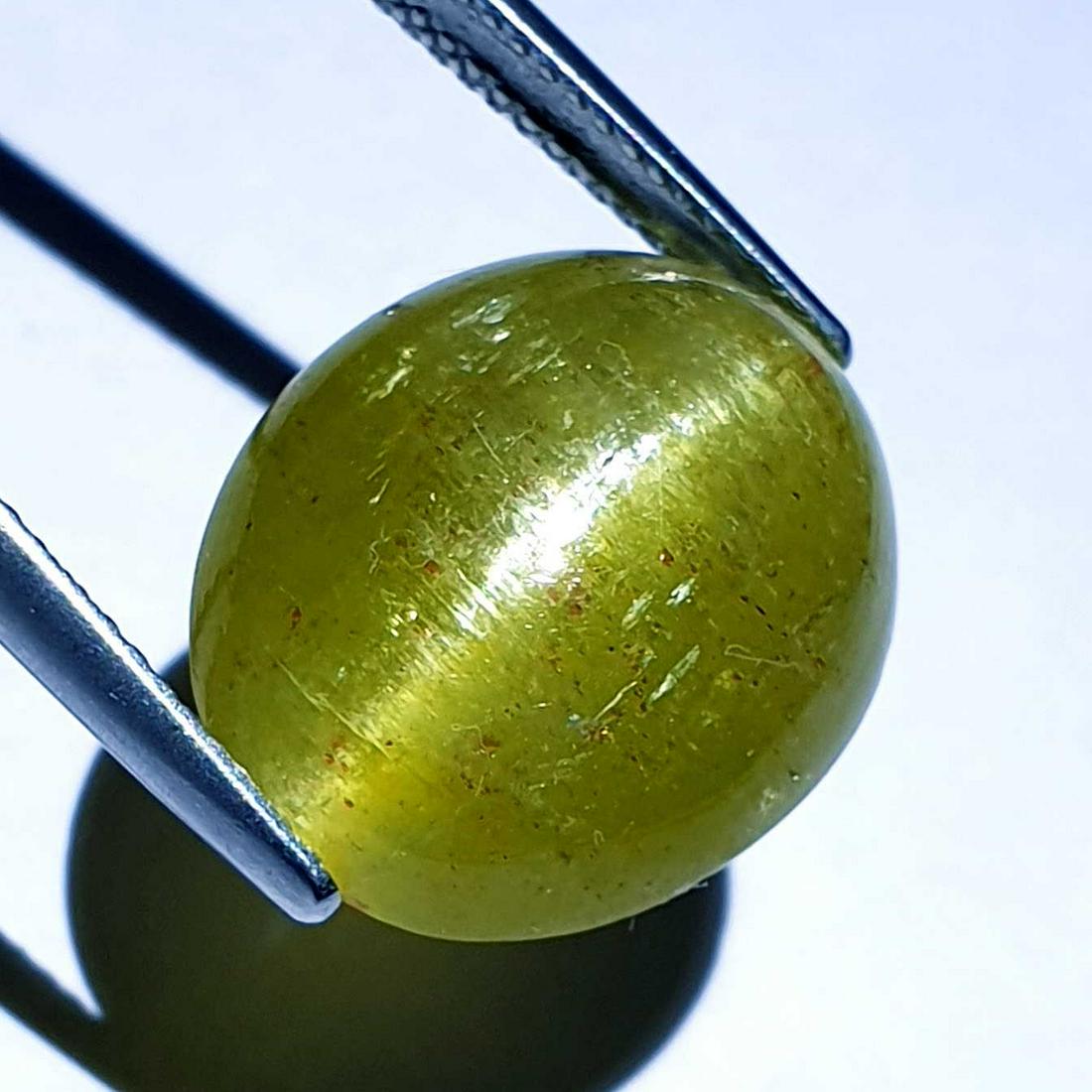 21.22 ct Natural Apatite cat's Eye: No Reserve! Title: 21.22 ct Natural Apatite cat's Eye Color/Clarity: Semi Transparent Gemstones: Loosegemstone Carat Weights: 21.22 Size/Dimensions: 17.80 x 14.60 x 10.10 Additional Information: Oval 