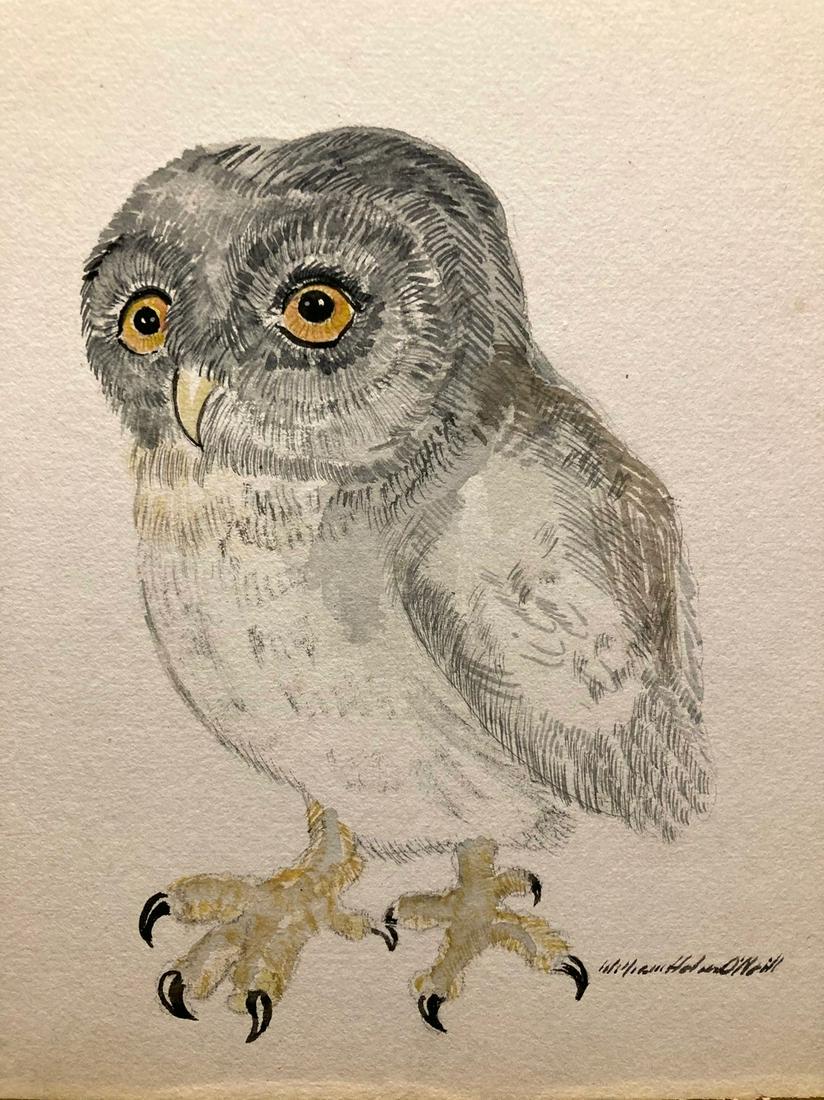 Mid 20thc original art owl watercolor (1 of 2)