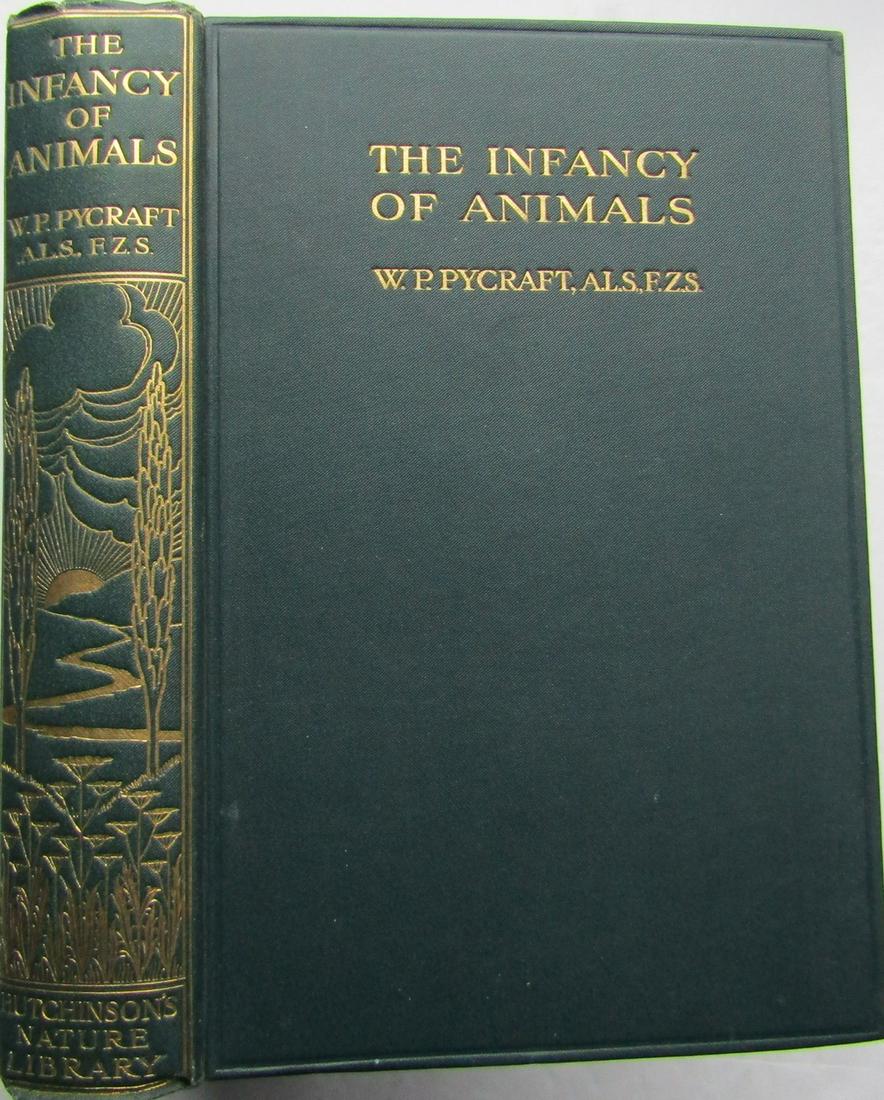 The Infancy of Animals: Publishers green cloth with gilt title. Gilt title and vignette to spine. Name and date on inside. Full-page and in-text illustrations. A very lovely copy. Publisher Hutchinson & Co., London Author