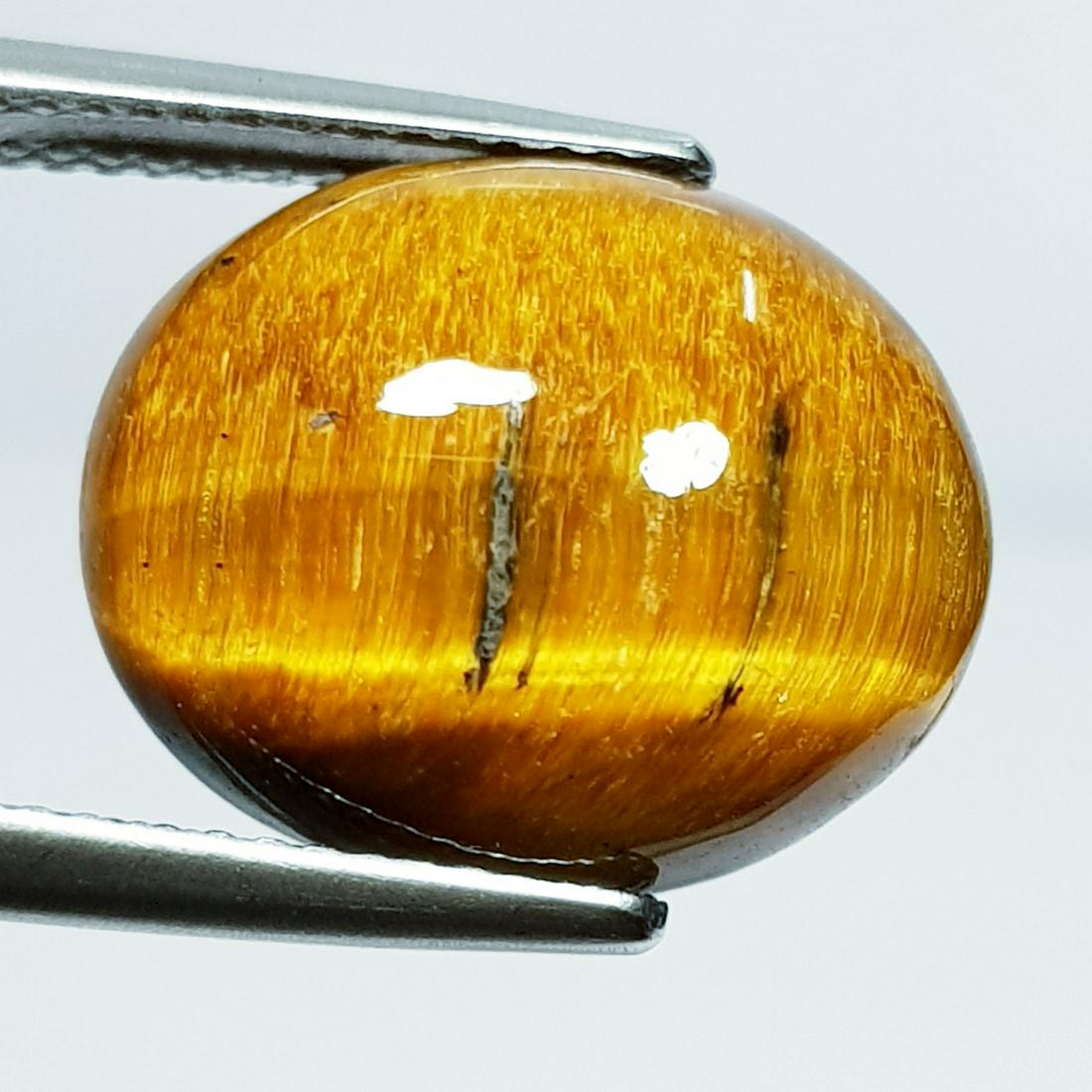 10.38 Ct Natural Tiger Eye Oval Cabochon (1 of 5)