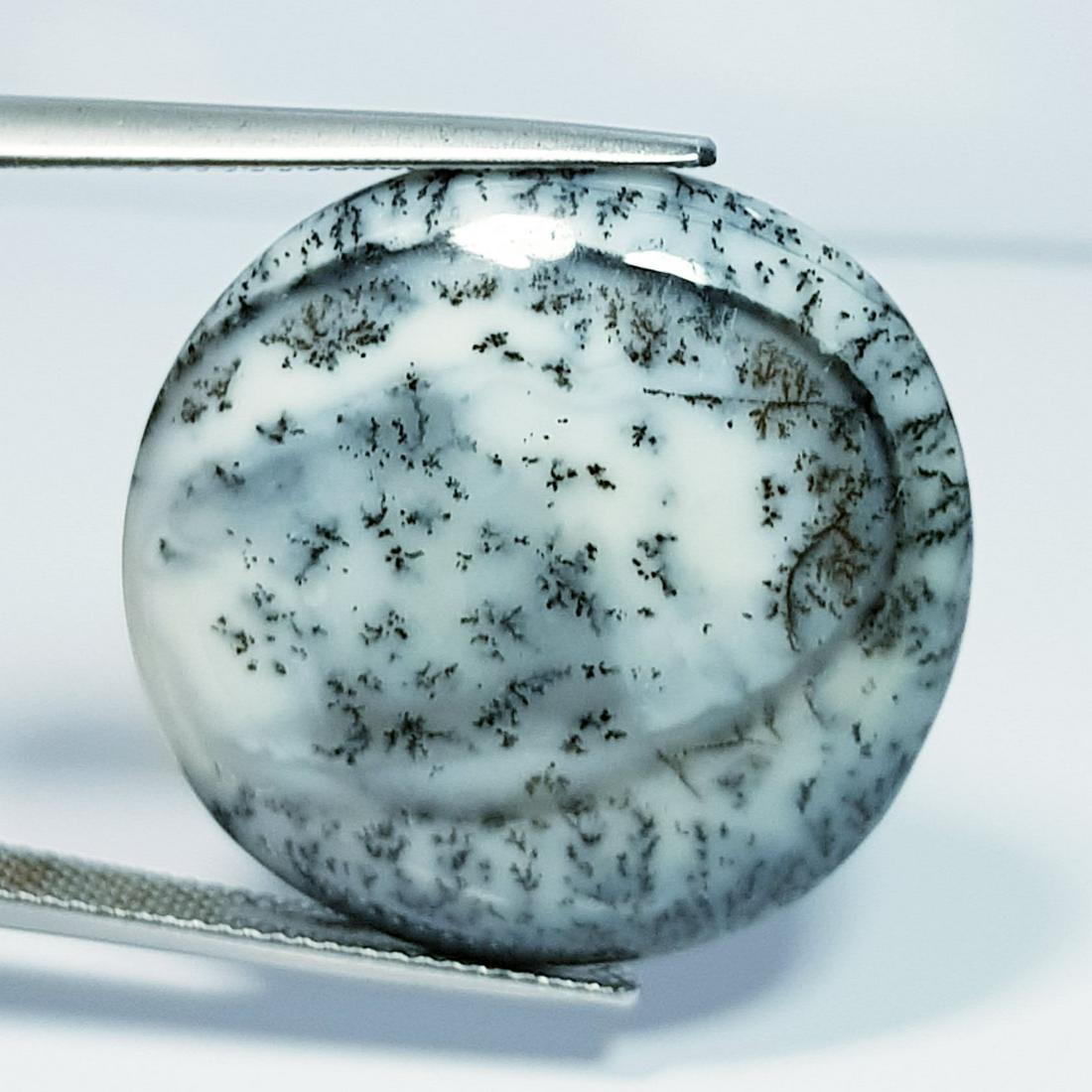 27.63 Ct Natural Dendrite Opal Round Cabochon (1 of 5)