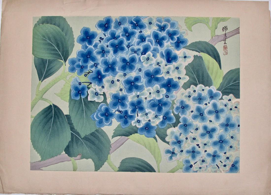 Zuigetsu: Hydrangea: Artist: ZUIGETSU Ikeda (1877-1944) Subject: Hydrangea Publisher: Matsukichi, Kyoto Signature: Zuigetsu Date: 1930s Format: dai-ôban, 47 x 34.5 cm Condition: Fine impression, color and condition some