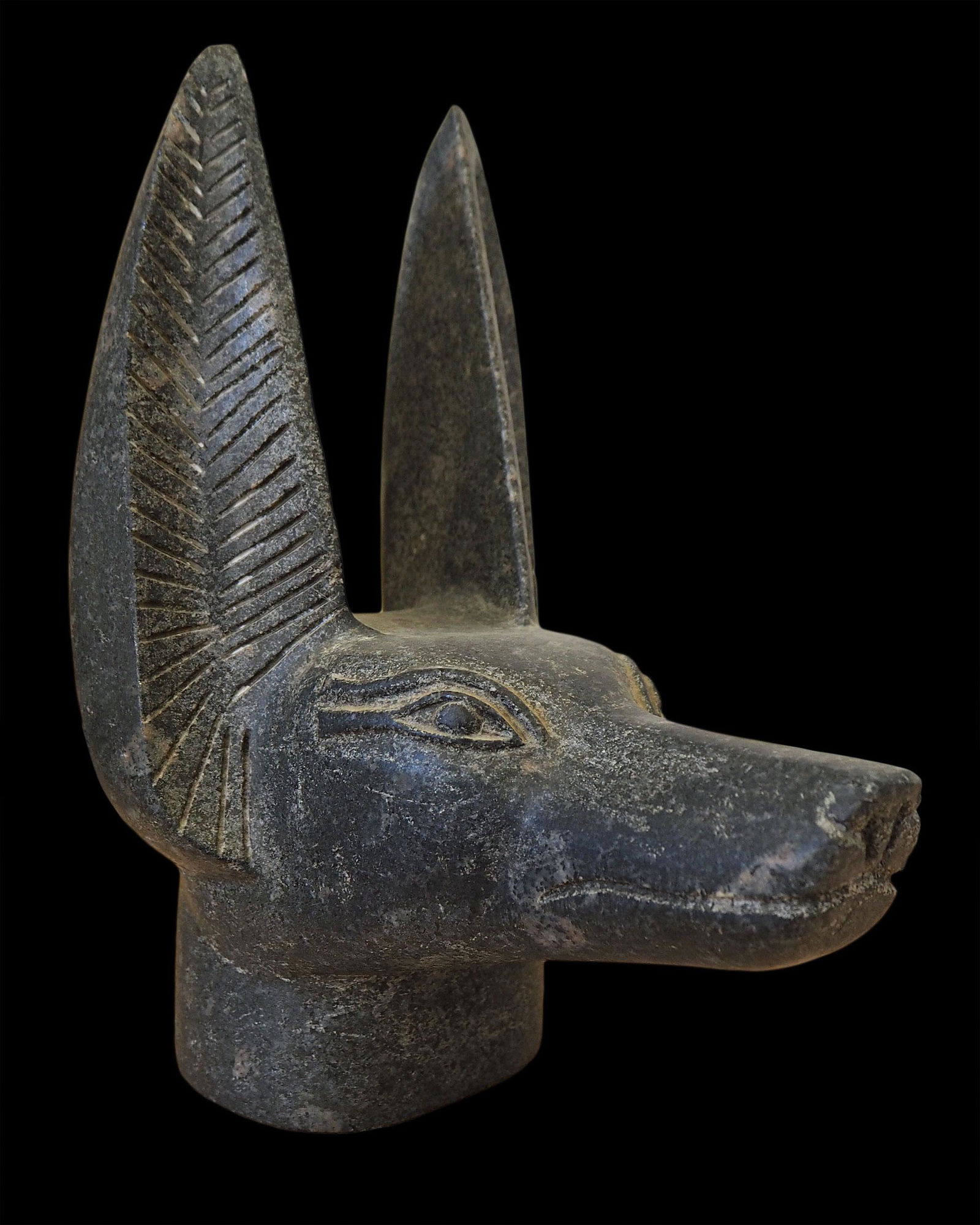 An Egyptian granite head of Anubis (1 of 4)