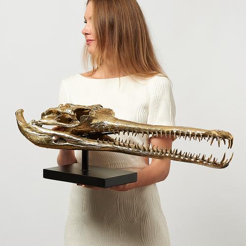 Extra-Large Gharial Crocodile Skull, on custom stand - (1 of 10)