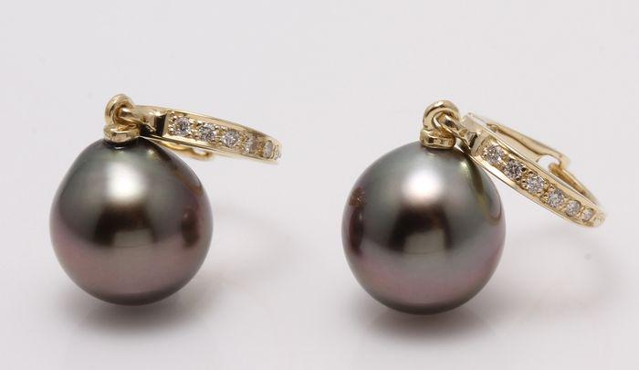14 kt. Yellow Gold - 9x10mm Peacock Tahitian Pearl: Title: 14 kt. Yellow Gold - 9x10mm Peacock Tahitian Pearl Drops - Earrings - 0.09 ct Description: Emerging from the tropical lagoons of French Polynesia, these Tahitian pearls have been hand selected 