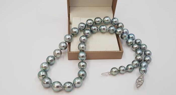 8x10.2mm Silvery Green Tahitian Pearls - 14 kt. White: Title: 8x10.2mm Silvery Green Tahitian Pearls - 14 kt. White gold - Necklace Description: Tahitian pearls are cultured in the warm ocean waters of the eastern South Pacific, mainly in the archipelagos