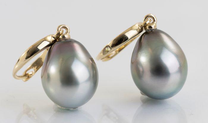 14 kt. Yellow Gold - 10x11mm Tahitian Pearl Drops -: Title: 14 kt. Yellow Gold - 10x11mm Tahitian Pearl Drops - Earrings Description: Emerging from the tropical lagoons of French Polynesia, these Tahitian pearls have been hand selected for their natural