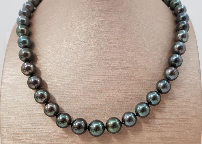 10x12mm Round Black Tahitian Pearls Tahitian pearls - (1 of 10)